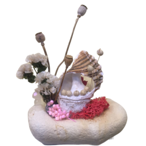 Seashell Craft | Hamper Gift Addons
